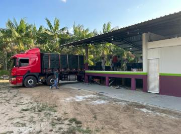 Rural , Belém · PLANTAÇÃO DE AÇAÍ COM FABRICA DE POLPA, NO PARÁ.