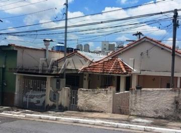 Terreno · 237m² · Terreno à venda no Jardim Paraíso, 237 m² com 28 metro de frente, em rua sem saída.