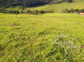 Foto 01 · OPORTUNIDADE! ÁREA RURAL DE 66.000 M² COM POTENCIAL PARA MORADIA E PLANTIO EM PARAISÓPOLIS!