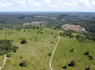 Rural · 7140000m² · 10 Quartos · 10 Vagas · FAZENDA POTENCIAL PARA PECUÁRIA, FRUTICULTURA, EUCALIPTO -  Cardeal da Silva - Bahia