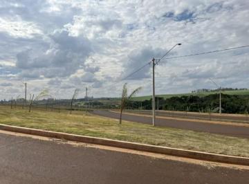1779817934.jfif · Pre Lancamento Belvedere Laranjeiras | Só aqui na Rosa e Rangel Consultoria e Assessoria Imobiliária