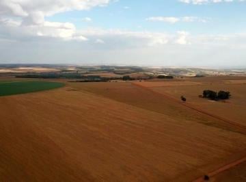 Rural , Jussara · FAZENDA GOIAS