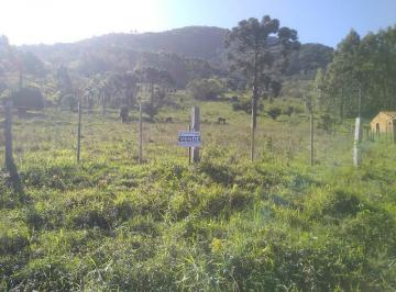 Foto 13 · Sitio, Solitária Alta, Igrejinha, RS