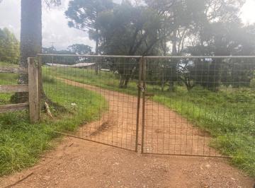 Foto 01 · VENDE-SE ÓTIMO TERRENO PRÓXIMO A BR 277 KM 373 Área Rural localizada próximo ao posto de combustível