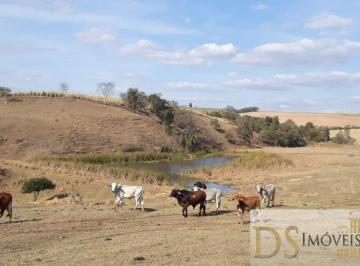 Foto 01 · FAZENDA A VENDA EM TIETÊ-SP COM ÁREA TOTAL DE 81,5 ALQUEIRES, BOA TOPOGRAFIA E PRÓXIMA AO ASFALTO