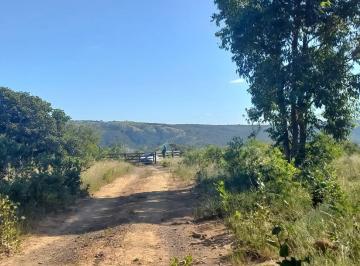 Rural , Onça de Pitangui · FAZENDA 62 hectares em ONÇA DE PITANGUI MG