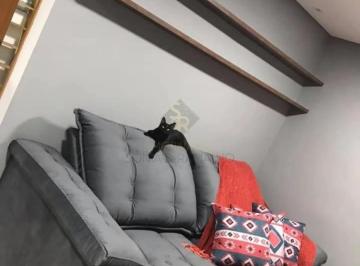 Apartamento · 48m² · 2 Quartos · 1 Vaga · Apartamento Padrão para Locação no Bairro Jardim José Sampaio Júnior, em Ribeirão Preto