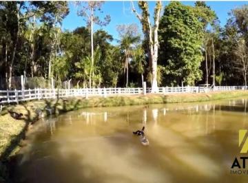 Rural · 10000000m² · 13 Quartos · Chácara - Venda - Peruíbe
