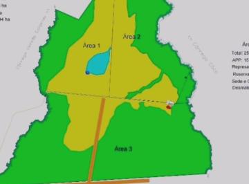 Rural , Conceição do Tocantins · OPORTUNIDADE FAZENDA CONCEIÇÃO DO TOCANTINS - TO COM 2.520 HECTARES