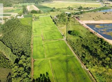 Terreno · 150000m² · Fazenda para Venda em Terra Nova Tijucas-SC