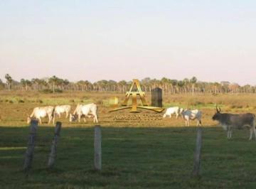 d890f1a380da0af35ffcba20a074036048a40d55 · Fazenda à venda no Pantanal Cáceres - MT.