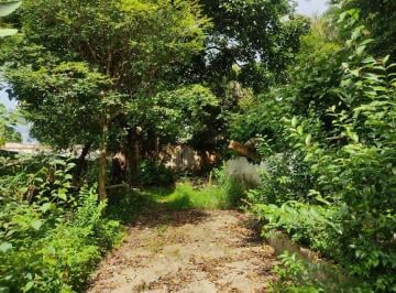 Terreno · 660m² · Terreno em Vila Morse, São Paulo/SP de 0m² para locação R$ 8.000,00/mes