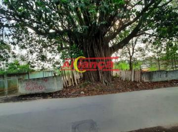 Terreno · 1200m² · Terreno com 1200m² - Cidade Aracilia - Guarulhos/SP