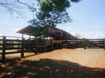 d59a8067b7cc2e77edb8ee4929bd4e2e8f81fc58 · Fazenda à venda, 80 Alqueires por R$ 25.500.000 - Zona Rural- Quadra/SP
