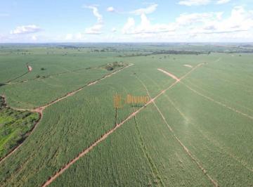 9b9359d2beeeeb0b9be4dd36225c36dab03cc98b · Fazenda à venda, 263 Alqueires por R$ 51.000.000 - Zona Rural - Mirandópolis/SP