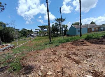 Terreno · 811m² · Terreno bairro Vila Germânia, Nova Perópolis.RS