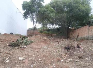 Foto 01 · Terreno - Aparecida