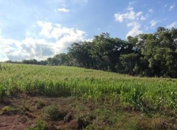 Terreno · 20000m² · Área de terra bairro Arroio Bonito, São José Do Hortêncio. RS