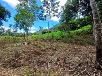Terreno · 20000m² · 
                                Área de terra a venda em Nova Petrópolis.RS
                       