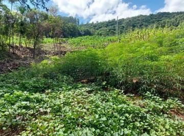 Terreno · 20000m² ·
Área de terra a venda em Nova Petrópolis.RS