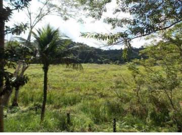 Rural · 146250m² · 1 Quarto · Chácara com 1 quarto, Centro, Juquiá - R$ 438 mil, Cod: 5079