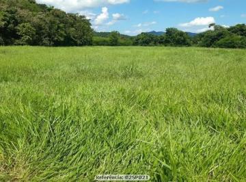 202412281034586397.jpg · Sítio para Venda em Cachoeiras de Macacu, Papucaia, 3 dormitórios, 1 suíte, 2 banheiros, 4 vagas