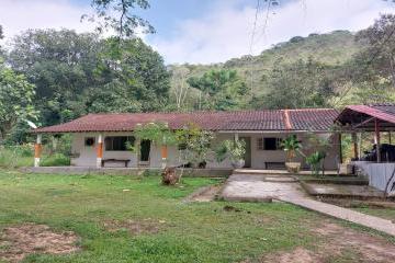 202412012302541661.jpg · Sítio para Venda em Cachoeiras de Macacu, Patis, 3 dormitórios, 1 banheiro, 1 vaga