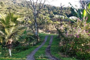 20230902095309820.jpg · Sítio para Venda em Cachoeiras de Macacu, Japuíba, 2 dormitórios, 1 banheiro, 1 vaga