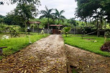 20230913145356958.jpg · Sítio para Venda em Cachoeiras de Macacu, Cachoeira da Quizanga, 2 dormitórios, 1 banheiro, 1 vaga