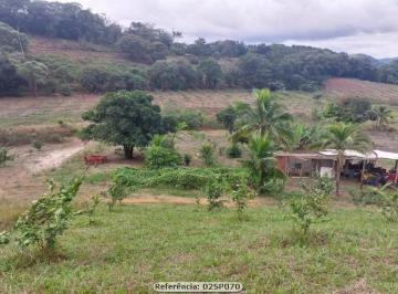 202412281946264819.jpg · Sítio para Venda em Cachoeiras de Macacu, Papucaia, 2 dormitórios, 1 banheiro, 1 vaga