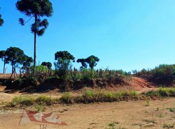 Rural , Mandirituba · Chácara a Venda sem benfeitorias