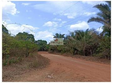 6382ffbd20c06c129735b7f93c949df4.jpg · Fazenda na região de Caxias - MA, com 302 hectares, dupla aptidão, com casa sede