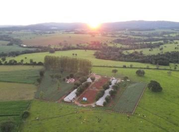 Rural , Itaberaí · GRANJA DE FRANGO - HEITORAÍ - GOIÁS| ALTO PADRÃO, TODA EQUIPADA, GERANDO RENDA