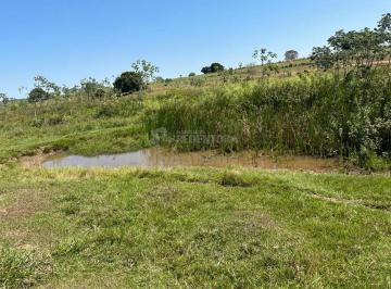 Rural · 58080m² · Sitio à Venda - Santa Fé do Sul