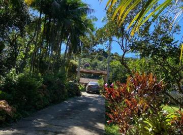 Foto 01 · Sitio, Barrinha, São Lourenço da Serra, SP