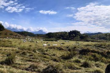 20230917150633393.jpg · Fazenda para Venda em Cachoeiras de Macacu, Vecchi, 3 dormitórios, 2 banheiros, 1 vaga