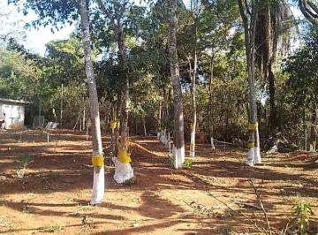 96191_30-1_111747.jpg · SITIO COM POMAR E RESIDENCIA LOTE 1.300 M2 
