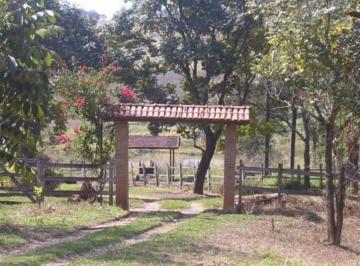 Rural · 12ha · 3 Quartos · LINDO HARAS à VENDA, EM JUATUBA!