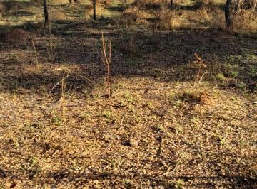 Terreno · 300m² · LOTE PLANO E BARATO , EM MATEUS LEME!
