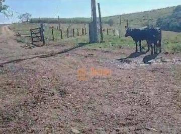 cf722b7c50bb68e683682c159c8b8c9c8b352c14 · Fazenda à venda, 67 Alqueires por R$ 16.000.000 - Área Rural - Itapetininga/SP