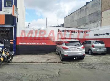 85ef4d324a3b0bb646cb5de253cf203b.jpg · Terreno