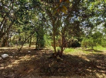 Terreno · 1500m² · Terreno à Venda -1500m2, plano-  Village Campinas, Campinas -