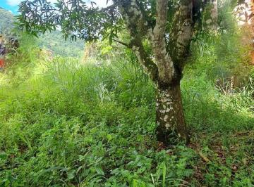 Foto 01 · Terreno, Costa Bela, Ilhabela, SP