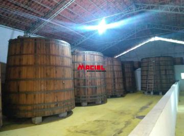Comercial · 650m² · Comercial Prédio em Cunha