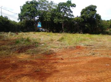 Terreno , Vicente Pires · VENDO LOTE EM VICENTE PIRES - LOCAL DE MUITA PAZ OPORTUNIDADE AC CARRO!