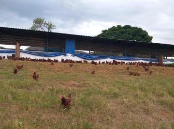 Foto 01 · Fazenda, Aptidão: Granja E Fruticultura, Itaúna, MG