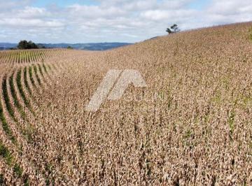 20220506103728149594.jpg · Área para Venda em Campo Magro