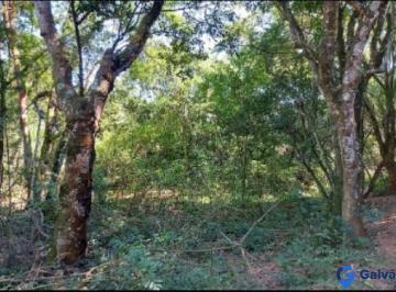 Gleba · Sítio à venda no Bairro Pitangal em Jarinu - SP