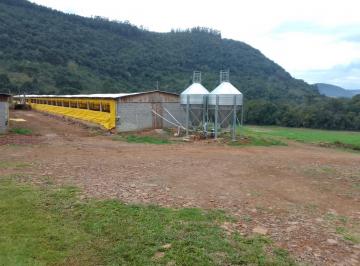 Rural de 2 quartos, Camargo · Sítio 20 Hectares a Venda em Camargo/RS com estrutura para Criação de Suínos