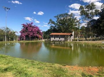 807de4e09b5af481692211cfbf071c4a0b19deca · Sítio à venda, 53240 m² por R$ 3.500.000,00 - Bananal do Avecuia - Porto Feliz/SP